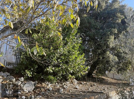 Ege Emlaktan Satılık Kızılyakada Satılık Arsa