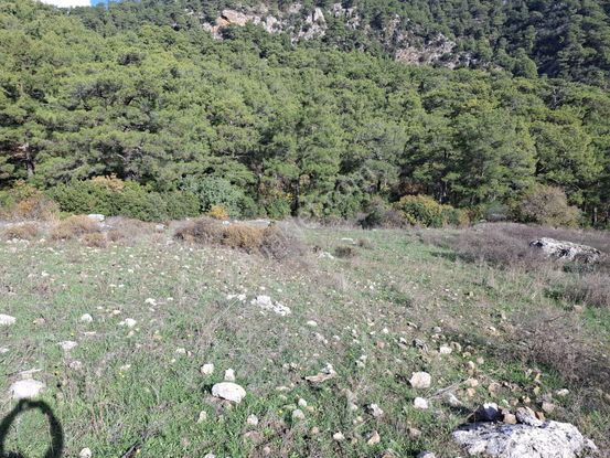 Klas Emlak'tan Kumluca Yeşilköy'de 10 Dönüm Satılık Arazi