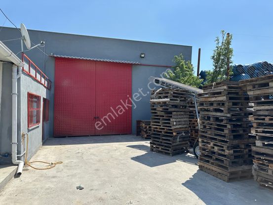 Benim Emlak'tan Dayıoğlu Mh. Ticari İmarlı Zeytin İşletmesi