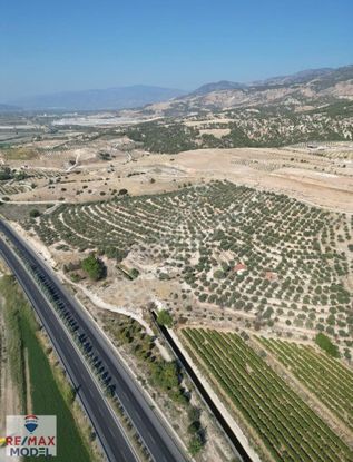 120m İzmir Ana Yola Cepheli 30.454m2 Verimli Zeytinlik