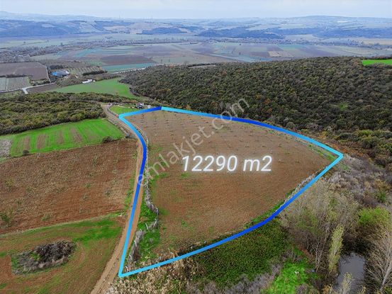 Karacabey Akçasusurluk Satılık Ceviz Bahçesi