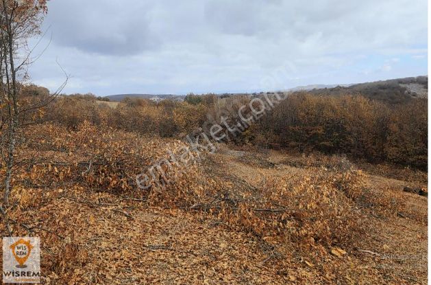 Her Şeye Zam Gelmeden Alın! Söğüt'te Satılık 9700 M² Tarla!