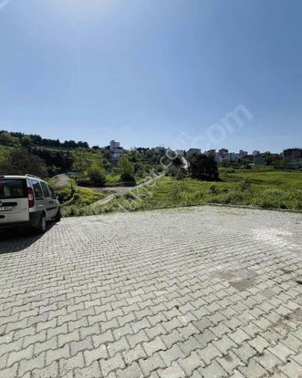 Fırsat Daire Kalkancı 3+1 Geniş Balkon Giyinme Odalı