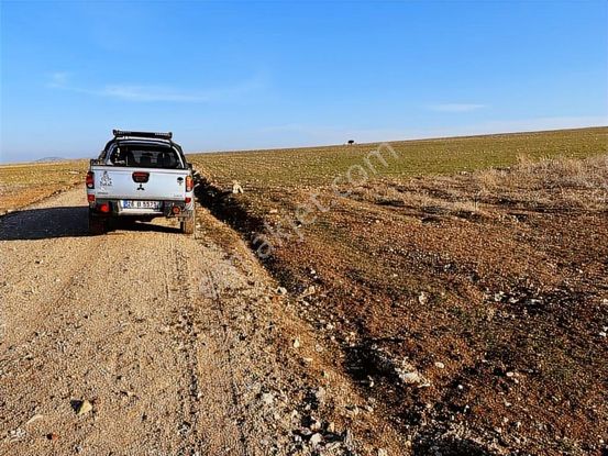 Başkan Emlaktan Satılık Seyitgazi İkiçeşme'de 13.610 M2 Tarla