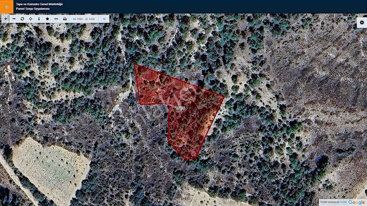 Başkan Emlaktan Satılık Bilecik Merkez Deresakarı 2.885 M2 Bağ