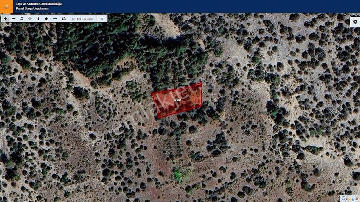 Başkan Emlaktan Satılık Bilecik Yenipazar Kavacık'ta 826 M2 Bağ