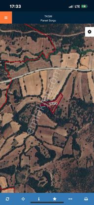 Köy Yoluna Çok Yakın! Verimli Topraklı 7.657 M² +25.343 M² Arazi