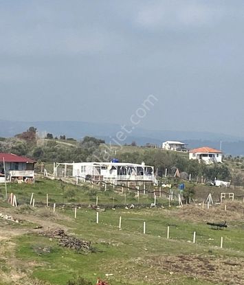 Manisa Akhisar'da Köy İçinde 1616 M2 Satılık Tarla