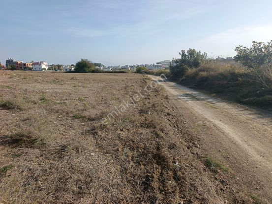 Karataş İskele Mh Tek Tapu 1000 M2 Satılık Arsa