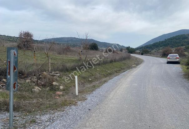 Manisa Akhisar'da 90 M Kadastral Yol Cepheli 6750 M2 Tarla