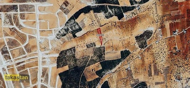 Suboğaz İmara Yakın Bağ Evi Ve Yatırımlık Satılık Arazi