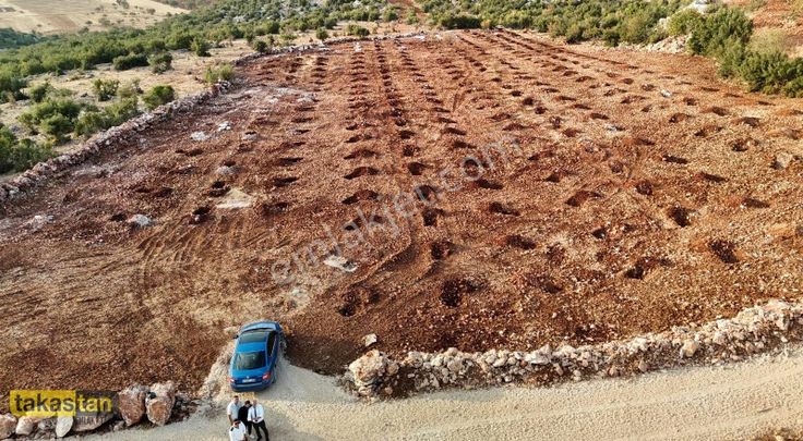 Yığınlı Tektapu Uygun Fiyatlı Resmi Yola Cepheli Şehre Yakın