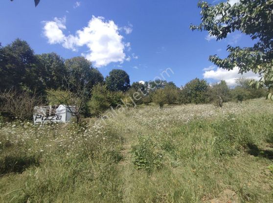 Tarcanlar'dan Yenieşme De Doğayla İçiçe Yatırımlık Tarla