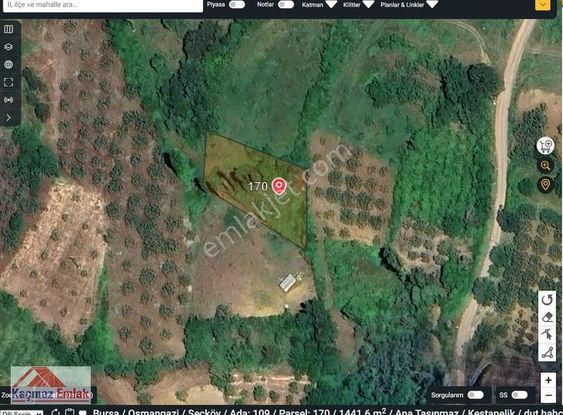 Bursa Osmangazi Seçköy Satılık 1441 M2 Tarla Resmi Yol Var