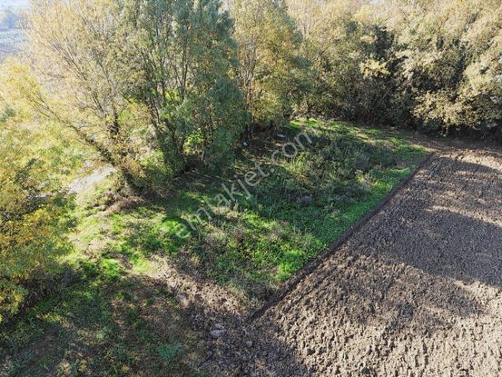 Adapazarı Abalı'da 700m2 Resmi Yollu Fırsat