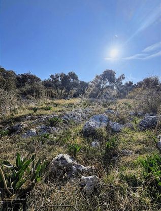 Kaş Üzümlü Deniz Manzaralı Arsamız 800 M2