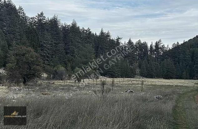 Kaş Hacıoğlan'da Orman İçinde 250 M² Yatırım Fırsatı!