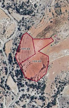 Mersin Gülnar Yarmasu 64 Dönüm Satılık Bahçe