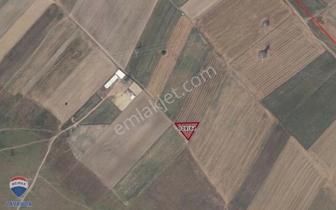 Remax Lavanda'dan Türkmenlide 1200 M2 Satılık Tarla