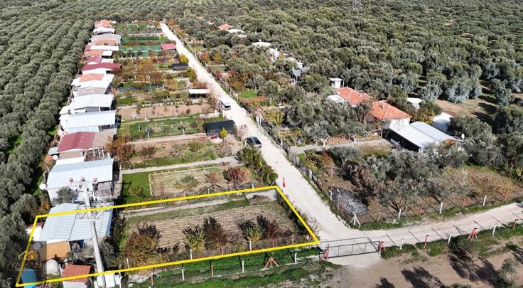Akhisar Efendi Mahallesinde 400 M² Hobi Bahçesi - Elektrik & Su