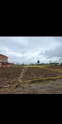 Sabuncuoglu Gayrımenkul Den Bafra Balıklarda 3.kat,imarlı Arsa.