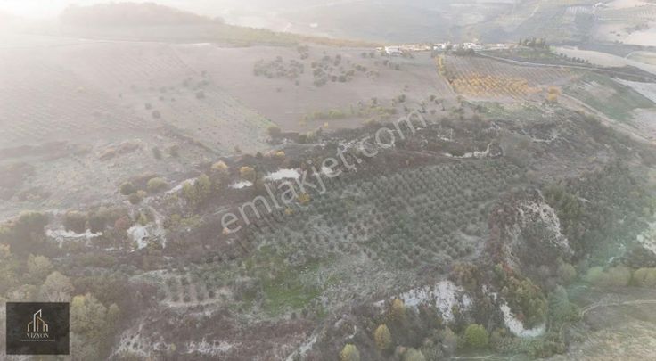 Altınözü Akdarı 37 Dönüm Parsel