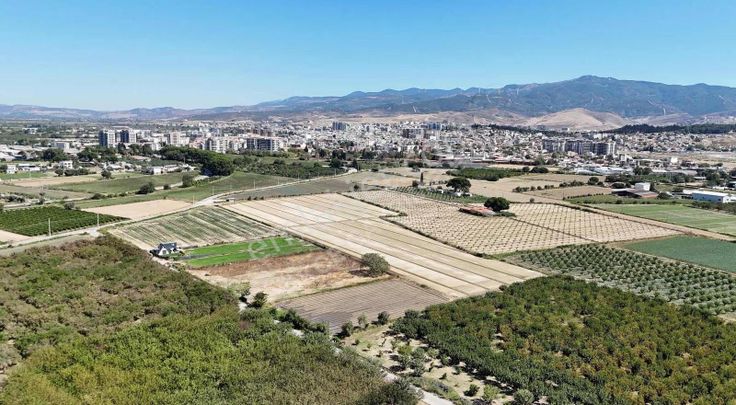 Menemen Merkezde Satılık 3081 M2 Tapulu Komşuları Olan Bahçe