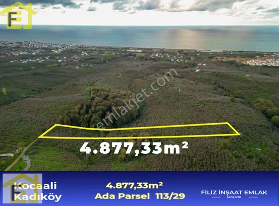 Kocaali Kadıköy'de Deniz Manzaralı İmara Sınır Satılık Fındıklık