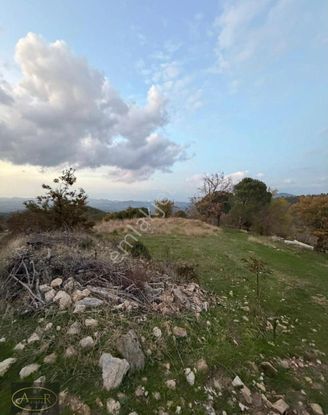 Balıkesir Burhaniye Kuyumcu Köyü Satılık Hobi Bahçesi