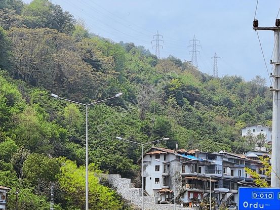 Gülyalı Da Satılık Fındık Bahçesi