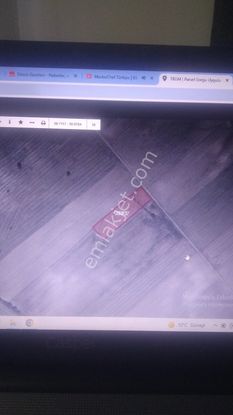 🎯 Aşağı Kuzfındık Köyünde Satılık Tarla🎯