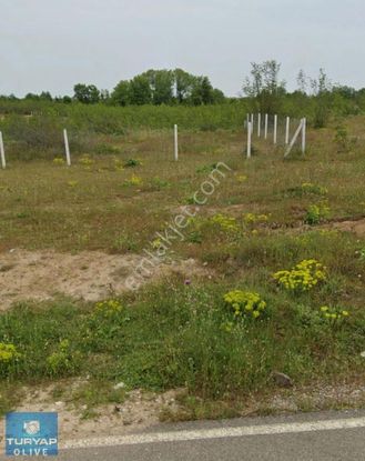 Sakarya Kaynarca Birlik' Te 601m² Villa İmarlı,yola Cepheli Arsa