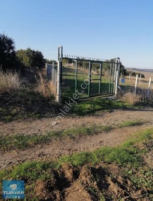 Silivri Büyükkılıçlı Acil Satılık Tarla