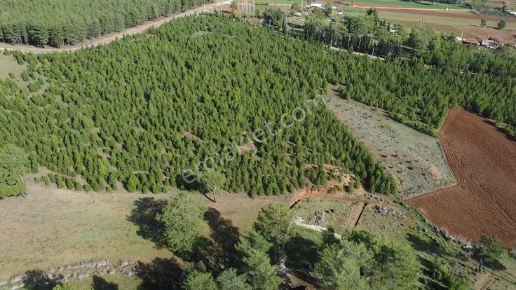 Uğur'dan S.kemer Çobanlar Doğayla İç İçe 1152m2 Satılık Tarla