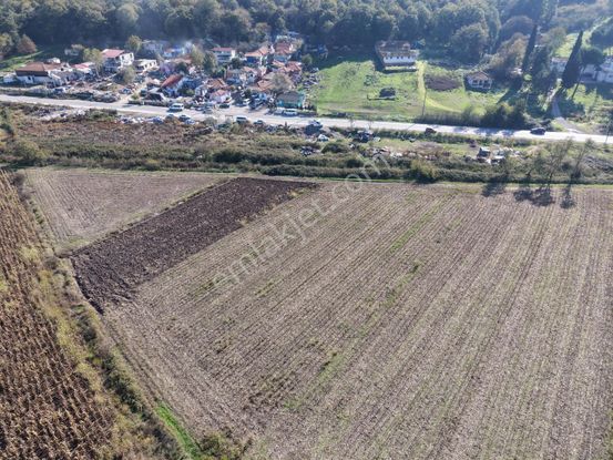 Adapazarı Dağdibin'de 1929m2 Kaçırılmayacak Fırsat