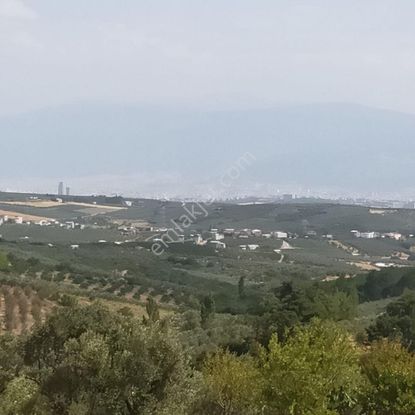 Bursa Mudanya Akköy Kadastro Yolu Olan Fırsat Satılık Arazi