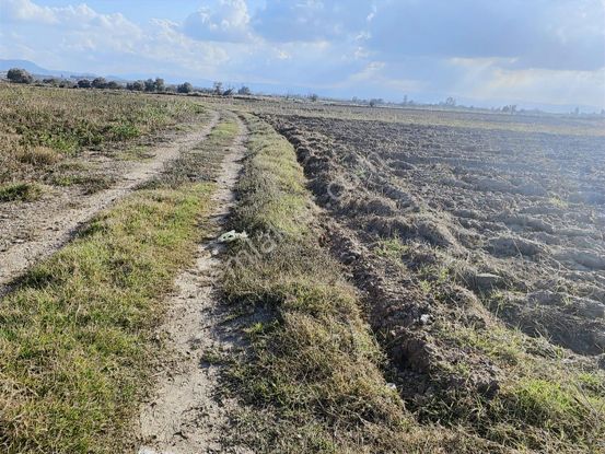 Mustafa Kemalpaşa'da Yamanlı'da Uluabat Gölü'ne Yakın 2.823 M²