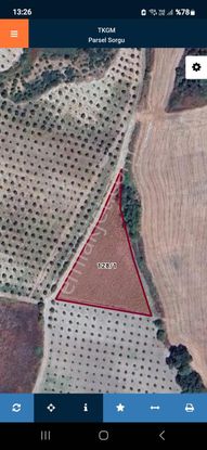 Bursa Mudanya Emirleryenicesi Köyünde Satılık Fırsat Tarla