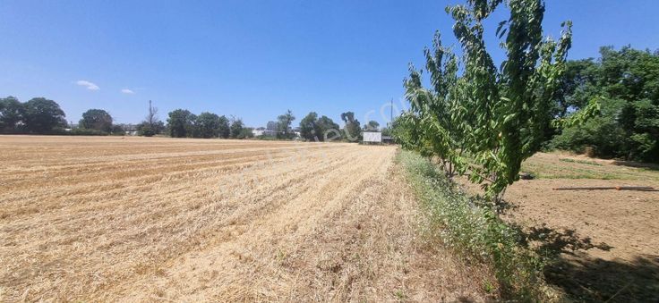 Bursa Nilüfer Alaaddinbey Kiralık 20 Dönüm Tarla Yolu Vardır