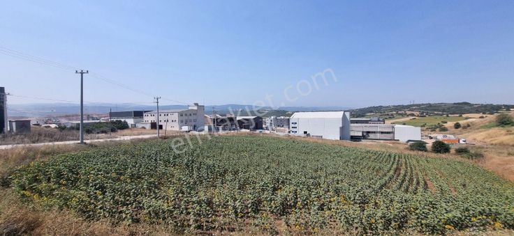 Bursa Nilüfer Başköy Küçük Sanayi İmarlı 3612 M2 Satılık Arsa