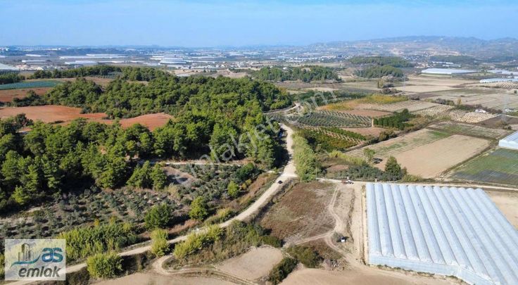Hatıplar Kızılağaçta Yolu,elektrik,suyun Yanında Satılık Tarla