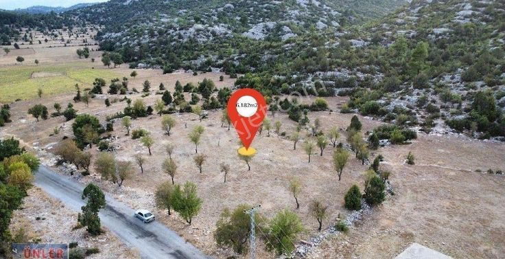 Araç Takaslı 6 Adet 1000 Metrekare Arsa Olacak Tek Tapulu Arazim Satılıktır