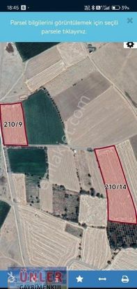 Gökçeyazıda 20 Dönüm İki Adet Tarlamız Cazip Fiyata Satılıktır..