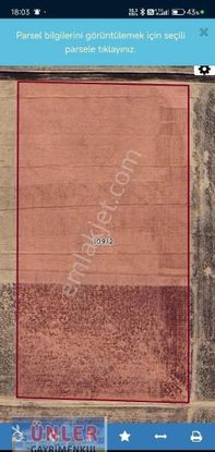 Kamışlıkuyuda Satılık 40 Dönüm Tek Tapulu Tarla