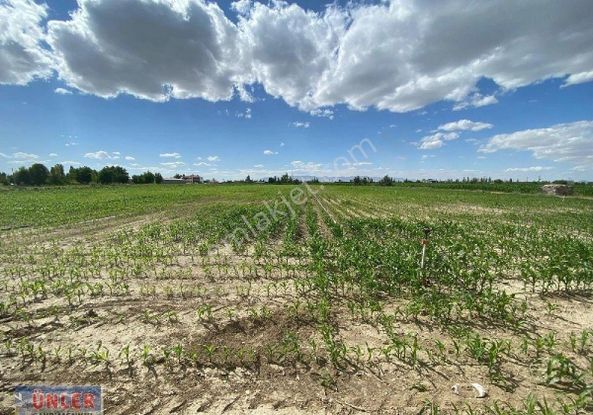 Konya Yoluna 500 Metre Mesafede 15 Dönüm Tek Tapulu Sulu Tarlamız Satılıktır.