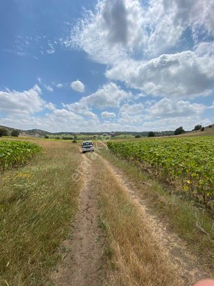 Eskişehir Erenköy Satılık Tarla