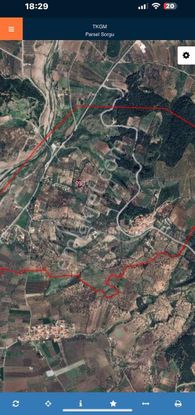 Dostlardan Dingiller Mahallesinde Satılık Zeytinlik