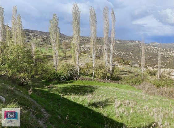 Uşak Ulucak Köyün Dibinde Satılık Tarla