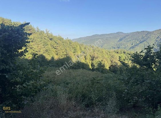 Başdekor Gayrimenkul'den Satılık Tarla