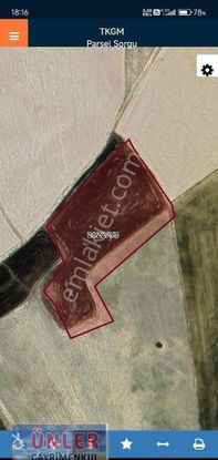 Toros Mahallesi İmara Aday 7316 Metrekare Tek Tapulu Tarlamız